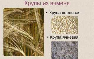 Как варить ячку для похудения