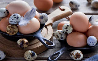 Перепелиные яйца натощак при похудении
