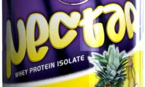Изолят nectar при похудении