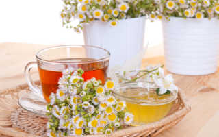 Как заварить ромашку для похудения