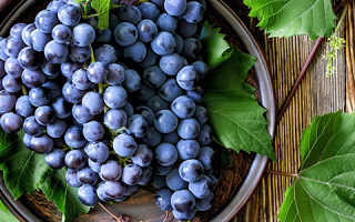 Полезные свойства винограда для похудения