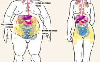 Витамины рыбий жир для похудения