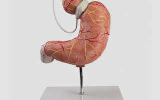 Как изменить свое сознание что бы похудеть