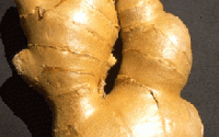 Как можно похудеть с помощью молотого имбиря