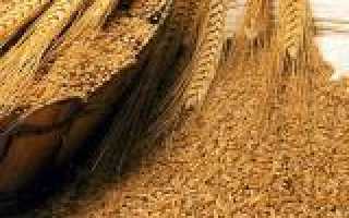 Отруби для похудения меню