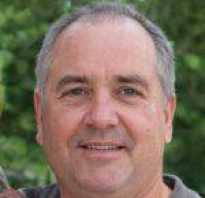 Импортные препараты для похудения