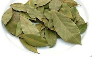Как пить отвар лаврового листа для похудения
