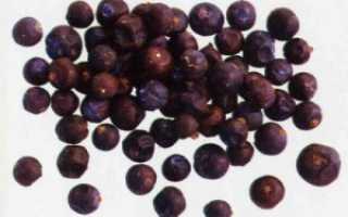 Как можжевельник использовать для похудения