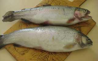 Вкусная рыба для похудения