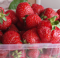 Поможет ли клубника похудеть