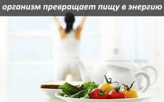 Как замедлить метаболизм для похудения