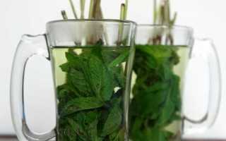 Вода с лимоном имбирем огурцом для похудения