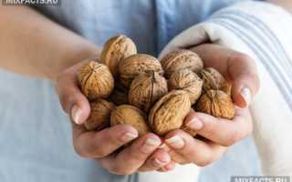 Польза грецких орехов при похудении