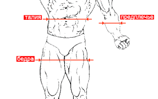 Как измерять параметры тела похудение