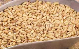 Виды овсянки для похудения