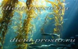 Полезность морской капусты для похудения