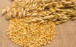 Как готовить отвар овса для похудения