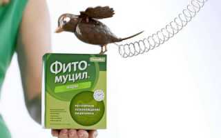 Помогает ли фитомуцил для похудения