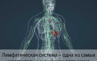 Как держаться при похудении