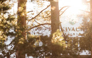 Виды голодания для похудения