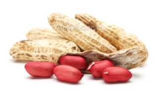 Полезен ли жареный арахис при похудении