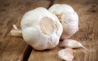 Зубчик чеснока для похудения