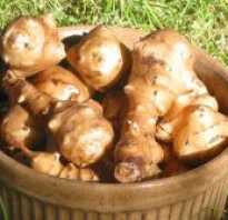 Как готовить топинамбур при похудении