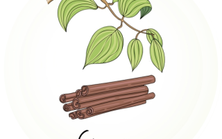 Печенье с корицей для похудения