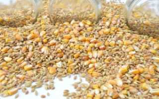 Воздушная пшеница при похудении