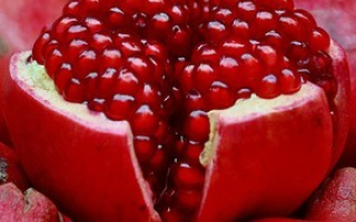 Водный настой чеснока для похудения